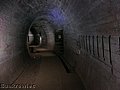 DSCN1745.JPG