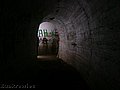 DSCN1754.JPG